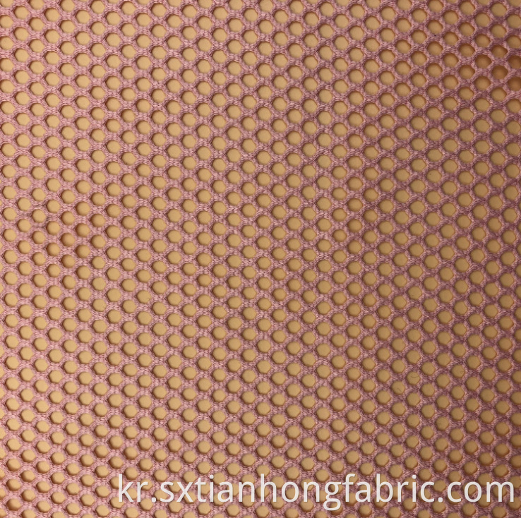 Mesh Cloth